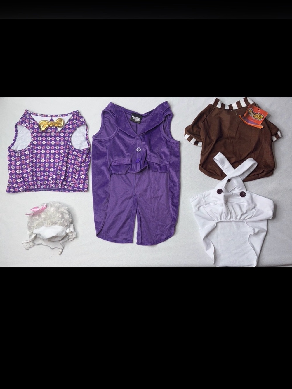 Small dog Willy wonka Costume